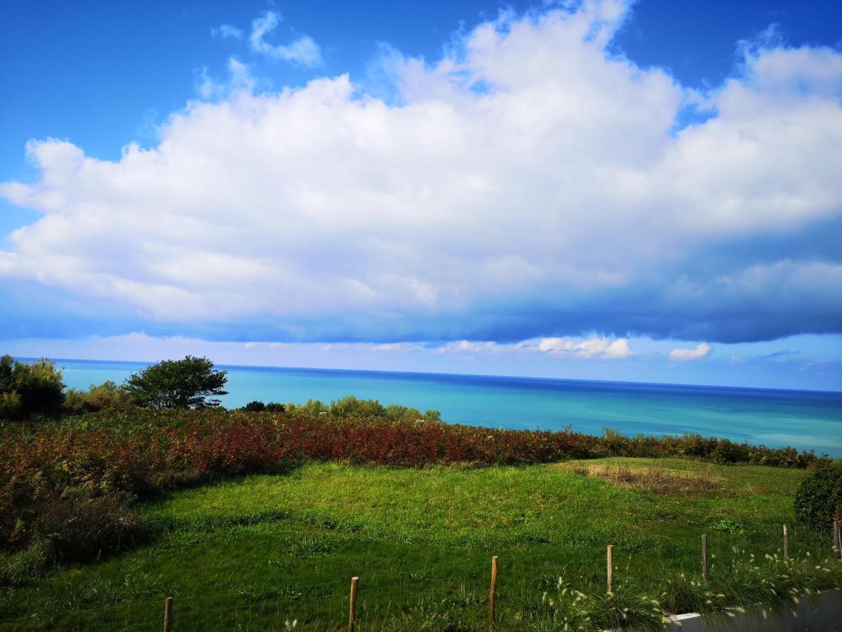 Chambre D'Hotes Villa Bibicheri Biarritz Zewnętrze zdjęcie