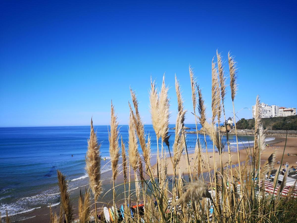 Chambre D'Hotes Villa Bibicheri Biarritz Zewnętrze zdjęcie